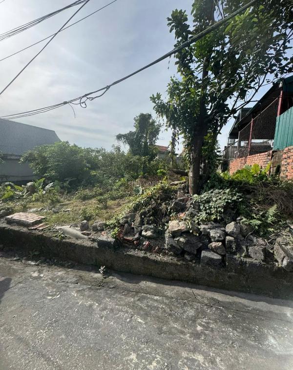 Ngân hàng thanh lý 283,6m2 đất tại cẩm phú, cẩm 🔥 phả, quảng ninh (mặt tiền 14m).