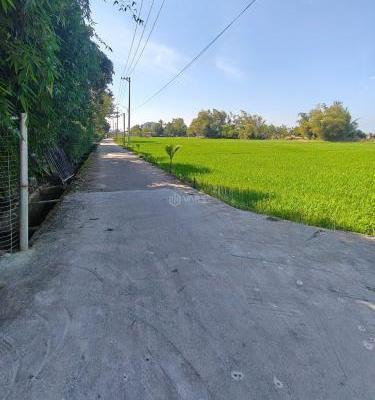 Cần bán Đất nền riêng lẻ 493m²