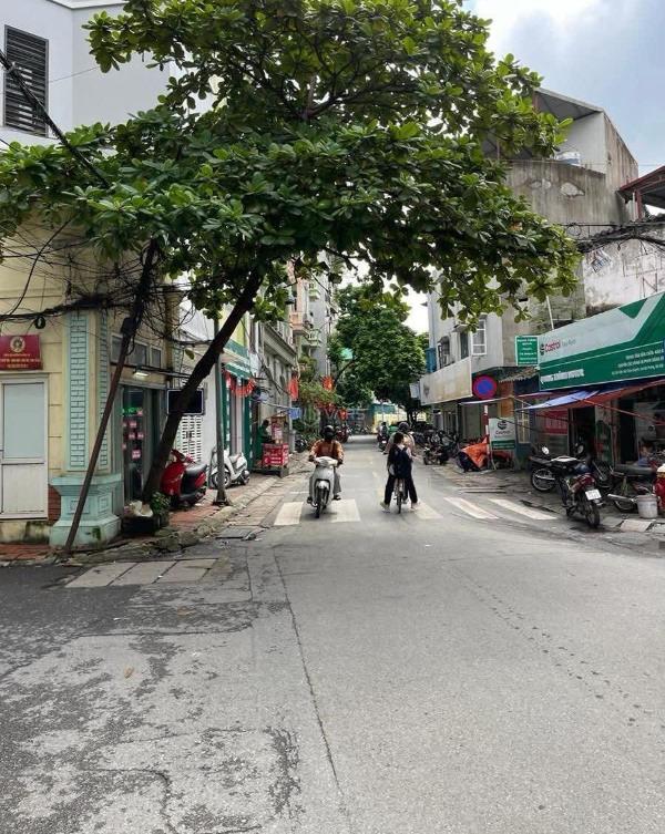 Cần bán Nhà mặt phố 257m²