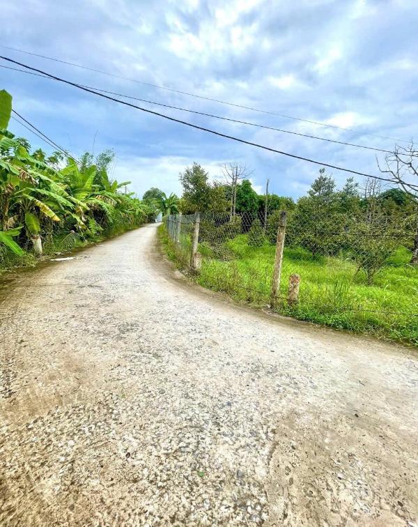 <mark style="background-color: transparent; font-weight: 400; ">💚💚💚 còn 04 nền liền kề cạnh đại học nam cần thơ 4,2x18,5m, lộ 4m, thổ 🏬 cư full</mark>