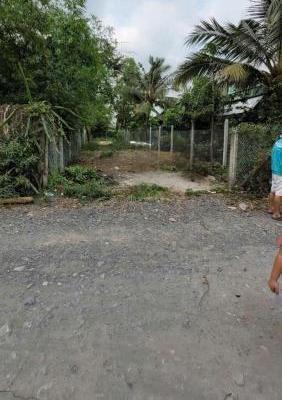 Bán đất thổ cư thị trấn Hậu Nghĩa , Đức Hòa cách ☘ tl 825 550m , dt 232,8m2 giá 1,55 tỷ