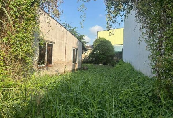 Bán đất thổ cư mặt 💥 tiền tỉnh lộ 835d ,long hòa, cần đước dt 200m2 giá 2,05 tỷ