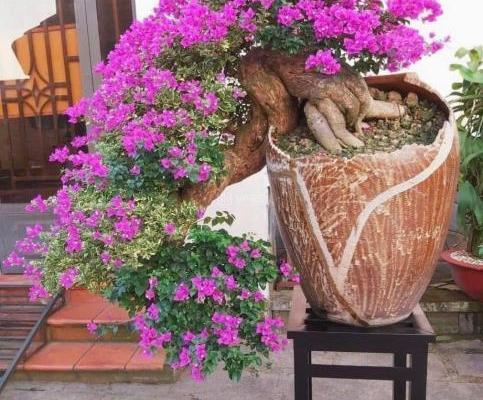 bán nhà vườn rộng 1.000m2 có 🏤 3pn,sân vườn hồ bơi gần chợ trường, Diên Khánh, Khánh Hoà