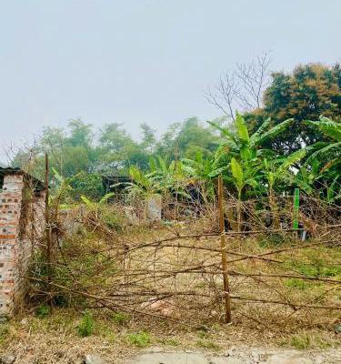 Chủ cần bán Đất nền riêng lẻ 137m²