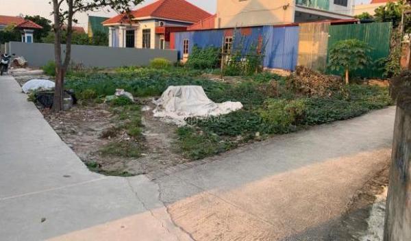 Bán Đất nền riêng lẻ 286m²