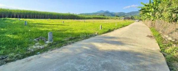 Chủ cần bán Đất nền riêng lẻ 150m²