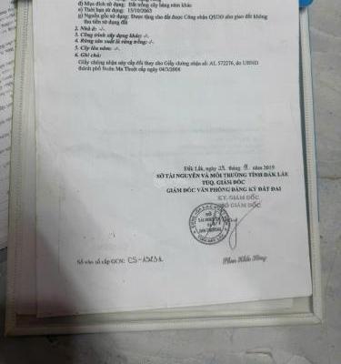 CHỦ NGỢP - Giảm giá bán nhanh trước tết nhà vườn - Buôn Ma Thuột 🏣 tỉnh Đắk Lắk