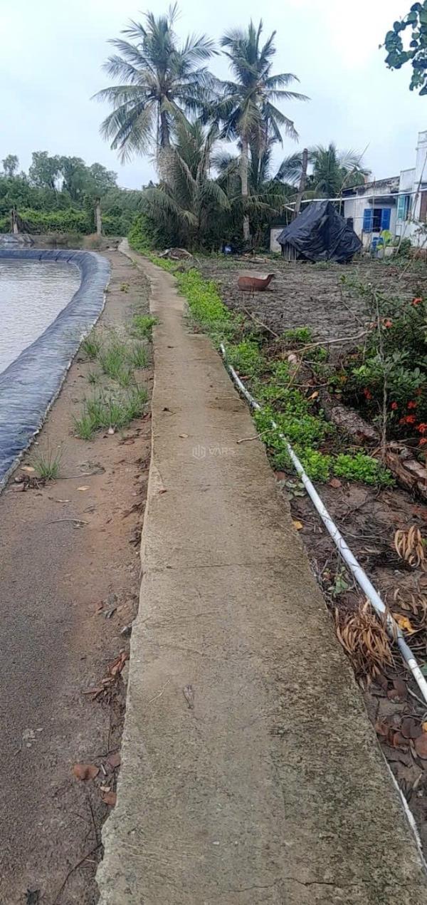 <mark style="background-color: transparent; font-weight: 400; ">Bán Trang trại, nhà vườn 2485m²</mark>