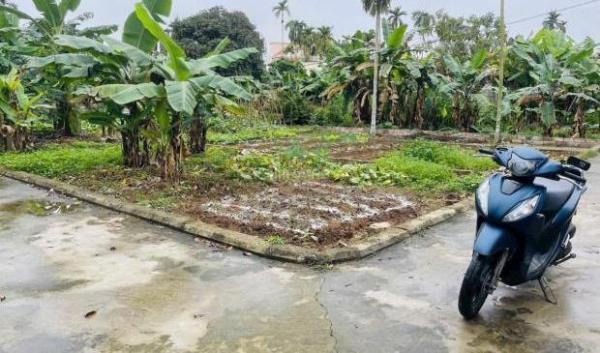 💥💥💥 Lô Góc Duy Nhất Ngay Đường 203 Lâm Động, 60m2, Giá Chỉ 1,6x Tỷ 💥💥💥 - Vị trí 🏠 tru