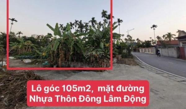 ⚠️⚠️ 🏣 Bán gấp lô hoa hậu – lô góc mặt đường nhựa ⚠️⚠️ 📍 Vị trí: Thôn Đông – Lâm Động – Th