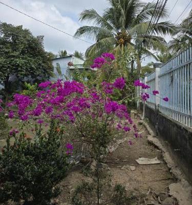 Chủ cần bán Khác 383m²