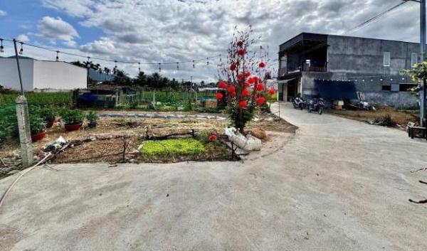 Bán Đất nền riêng lẻ 67m²