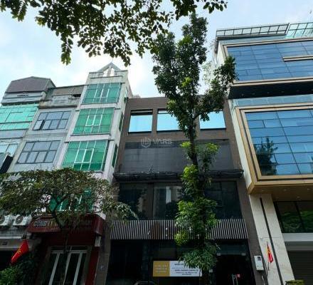 Bán Nhà mặt phố 195m²