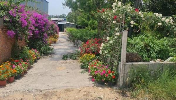 Đất Phú Quốc giảm 30% so với khu vực - 💥 Chính chủ cần bán gấp