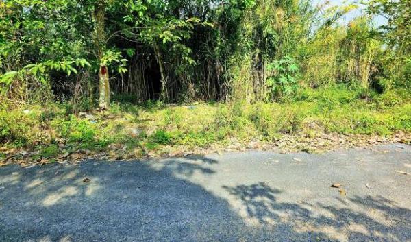 Cần bán Đất nền riêng lẻ 200m²