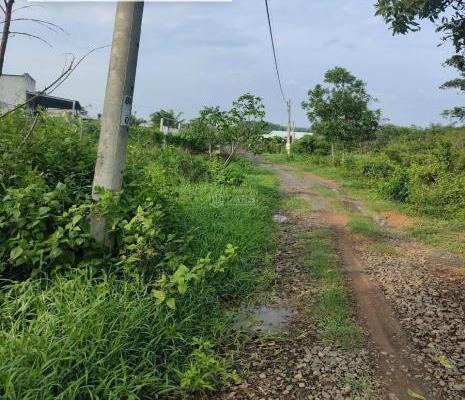 <mark style="background-color: transparent; font-weight: 400; ">Bán gấp lô đất sổ 🌊 riêng tân an vĩnh cửu 2000m2 giá 3tỷ</mark>