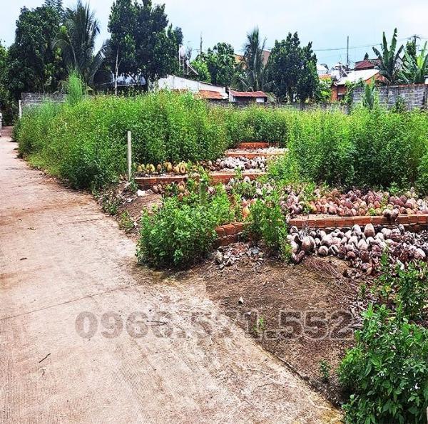 200 m đất thổ cư (nở hậu) sổ hồng riêng, ngay chợ bầu cối p 💥 bảo vinh, đn