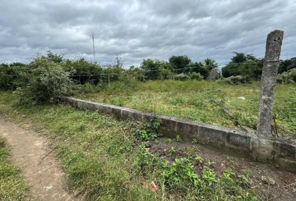 Bán đất thổ cư ninh xuân - ninh hòa giá quá rẻ 🏬 thích hợp cho nhà đầu tư lh:...