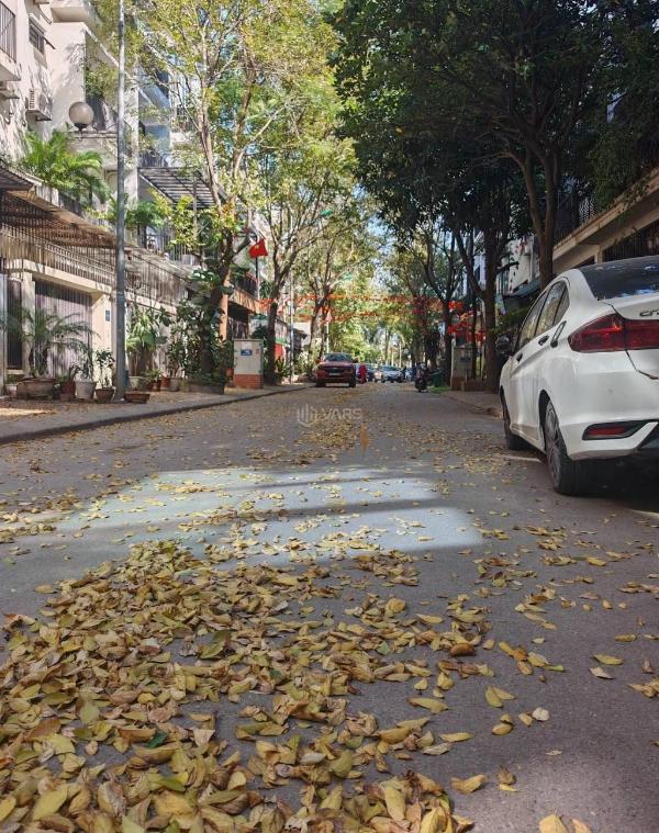 Bán Đất nền riêng lẻ 45m²