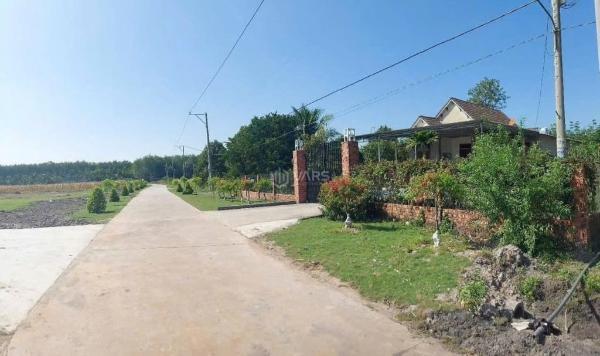 Chủ cần bán Đất nền riêng lẻ 207m²