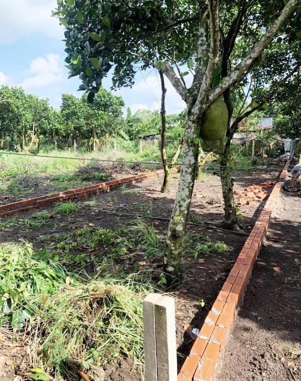 Cần bán Đất nền riêng lẻ 120m²