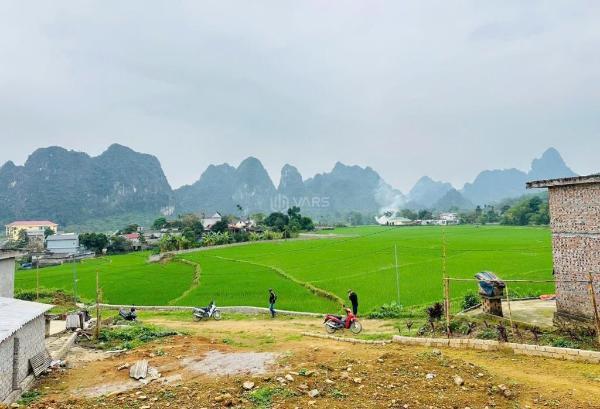 Siêu phẩm view cánh đồng giá rẻ chỉ hơn 1 tỷ sở 🏚️ hữu diện tích 436m2 full thổ cư