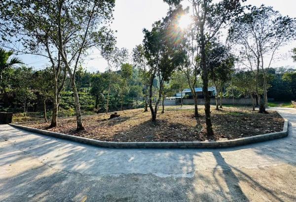 Bán nhanh lô góc dt 628m2 bám ao, 🆘 lưng tựa núi cách trục chính bờ sông bùi 150m