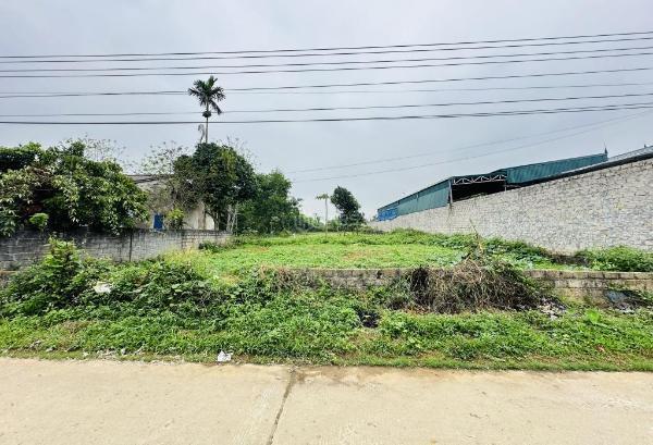 Bán Đất nền riêng lẻ 1100m²