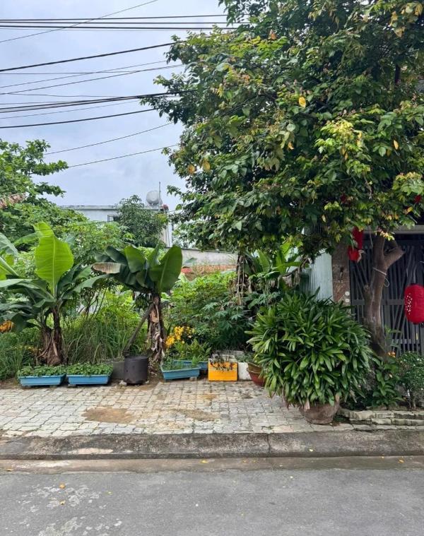 🏡 bán đất đường ☘ bầu cầu 12 hoà xuân tp đà nẵng