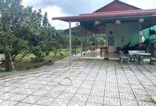 Bán nhà cấp 4 vườn cây ăn trái 2500m2 shr thổ cư, ngay kcn ☘ an linh giá 550tr