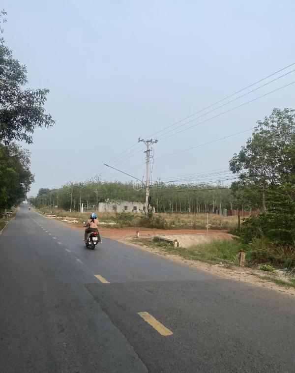 Bán 1100m có sắn 100m thổ cư sát đt749b gần ngã 🆘 tư mình hòa dầu tiếng
