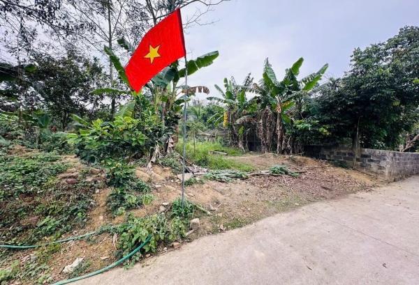 Chủ cần bán Đất nền riêng lẻ 1133m²