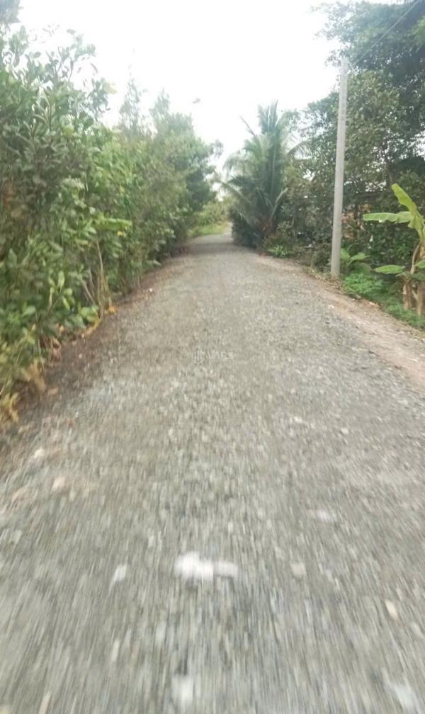 Chủ cần bán Đất nền riêng lẻ 2230m²