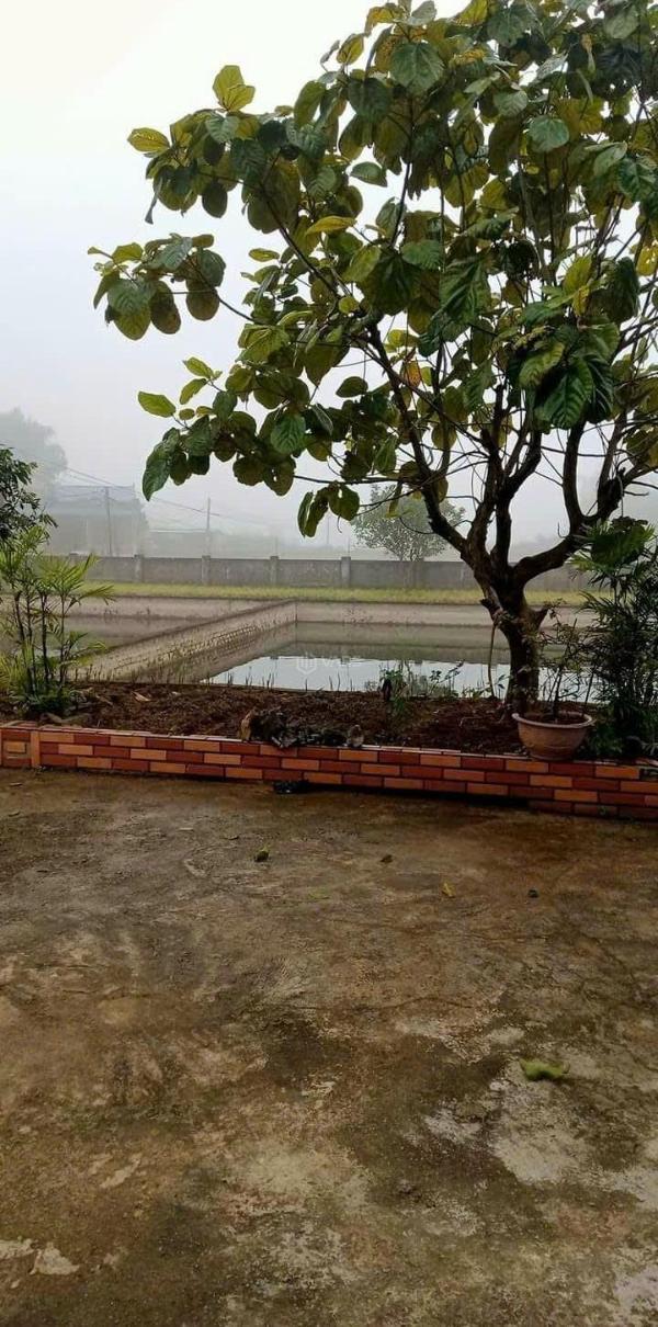 Bán trang trại mini 🏢 nuôi cá, 33, nuôi lợn, sinh lời luôn