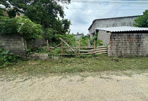 Chủ cần bán Đất nền riêng lẻ 180m²