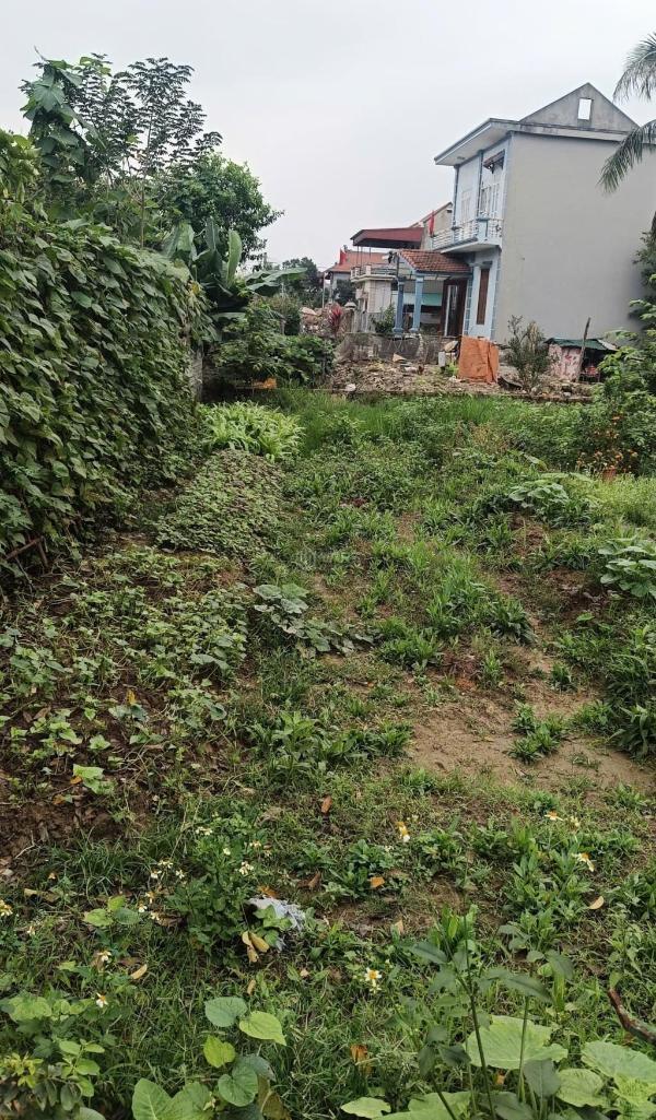 Chủ cần bán Đất nền riêng lẻ 80m²