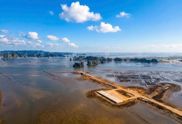 Cập nhật tiến độ dự án đại đô thị vịnh biển vinhomes global gate 🔥 hạ long 07/03/2