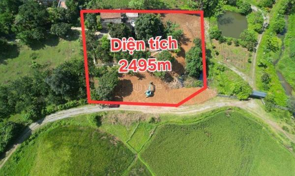 Bán gấp lô góc view bao trọn 🆘 cánh đồng có dt 2495m2 giá đầu tư sẵn sổ