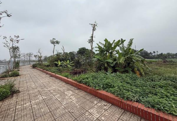 Cần bán Trang trại, nhà vườn 462m²