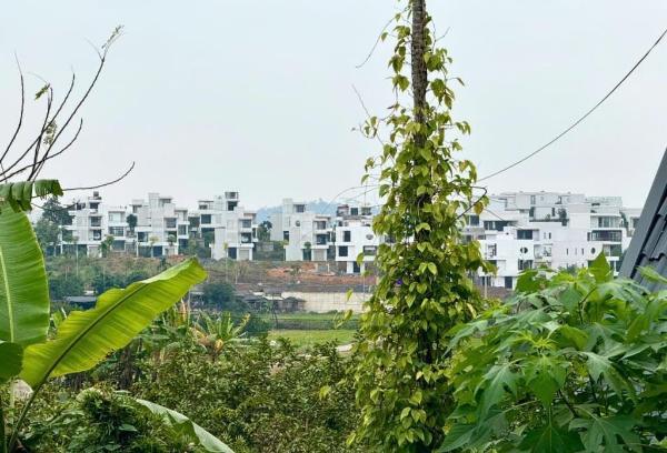 Chủ cần bán Đất nền riêng lẻ 2100m²