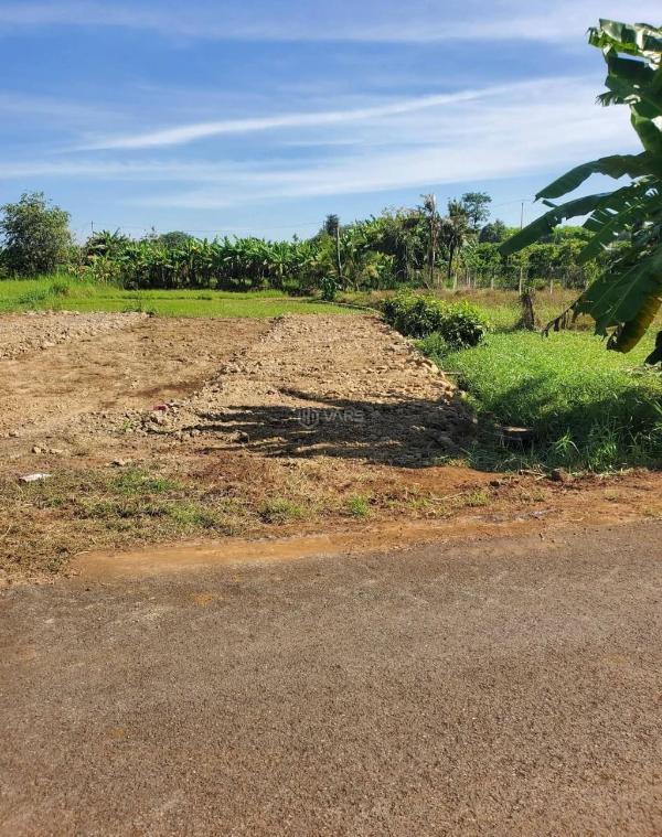 <mark style="background-color: transparent; font-weight: 400; ">Bán Đất nền riêng lẻ 137m²</mark>