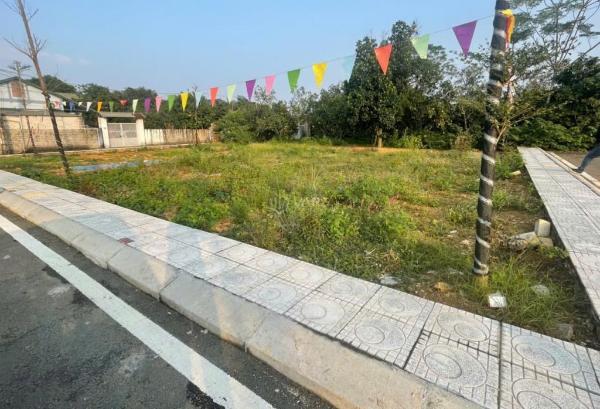 Chủ cần bán Đất nền Dự án 125m²