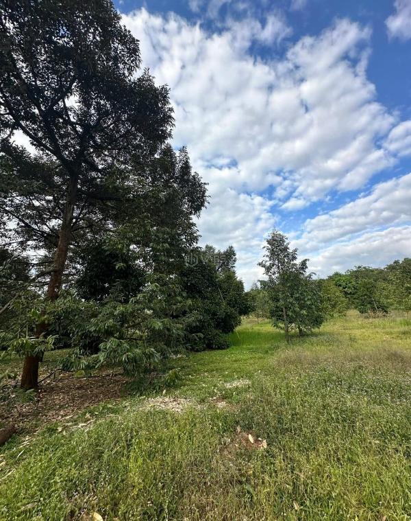 Bán Trang trại, nhà vườn 1034m²