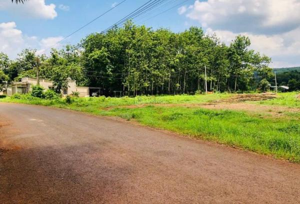 Chính chủ cần tiền kd nhượng 🏢 lại 3,6 công hơn (3680m2) ngay kcn giá 180tr