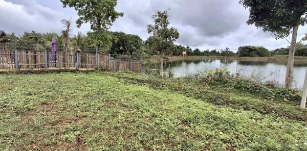 Cần bán Đất nền riêng lẻ 390m²