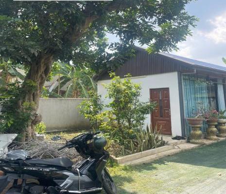 <mark style="background-color: transparent; font-weight: 400; ">Bán Trang trại, nhà vườn 980m²</mark>