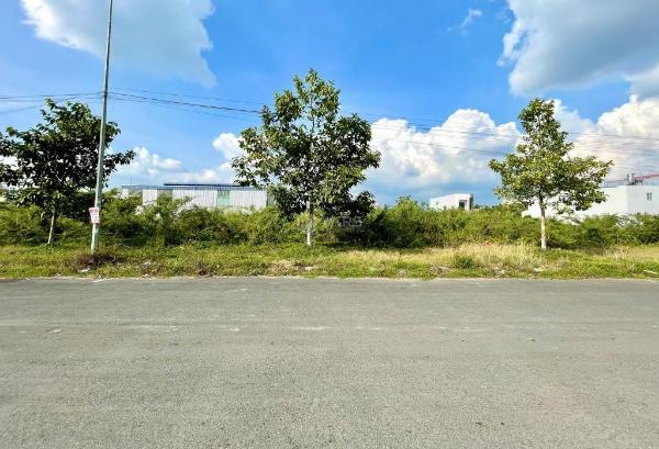 Chủ cho thuê Đất nền Dự án 300m²