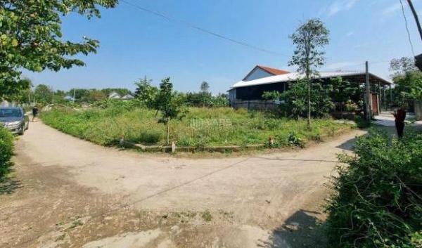 Cho thuê Đất nền riêng lẻ 100m²