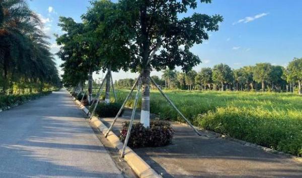 ► MIK Phố Nối 🆘 – “Ecopark” mới của Mỹ Hào, Hưng Yên