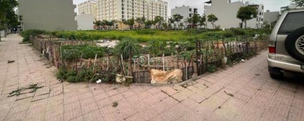 Chủ cần bán Đất nền riêng lẻ 131m²